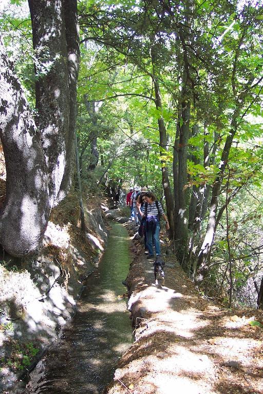 Alojamiento Rural Mirador Del Avellano Alpujarra De La Sierra Exterior photo